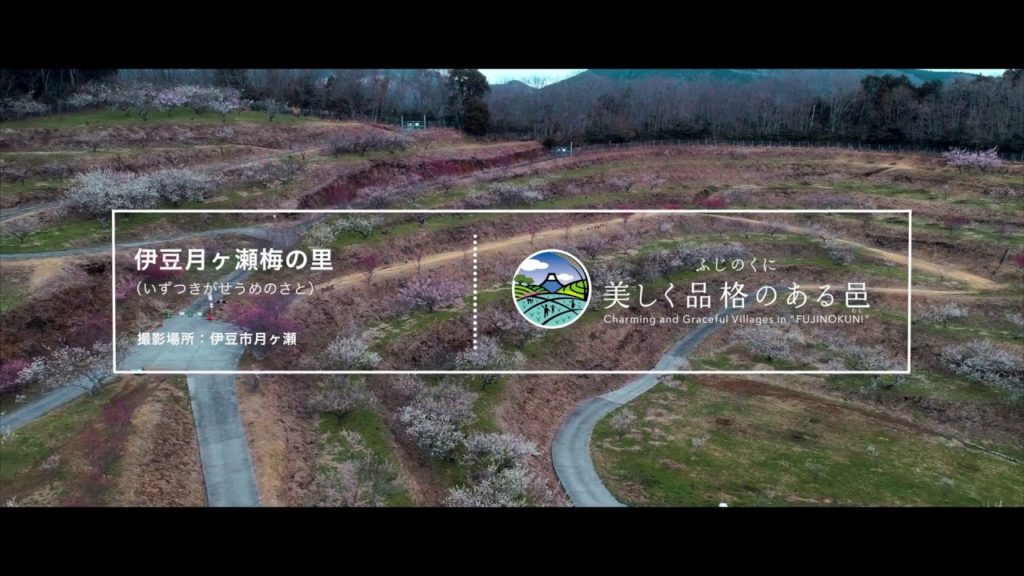 伊豆月ヶ瀬梅の里 - Izu Tsukigase no Sato, Shizuoka | 4K | Cinematic | DJI Phantom 4 Pro x Sony RX10M2 & M3