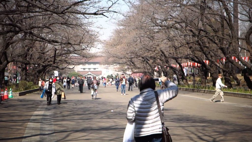 sapporo tokyo 5 to 15 march 2013