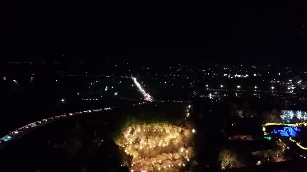 나고야 벗꽃 축제,Nagoya Cherry Blossom Festival,名古屋桜祭り