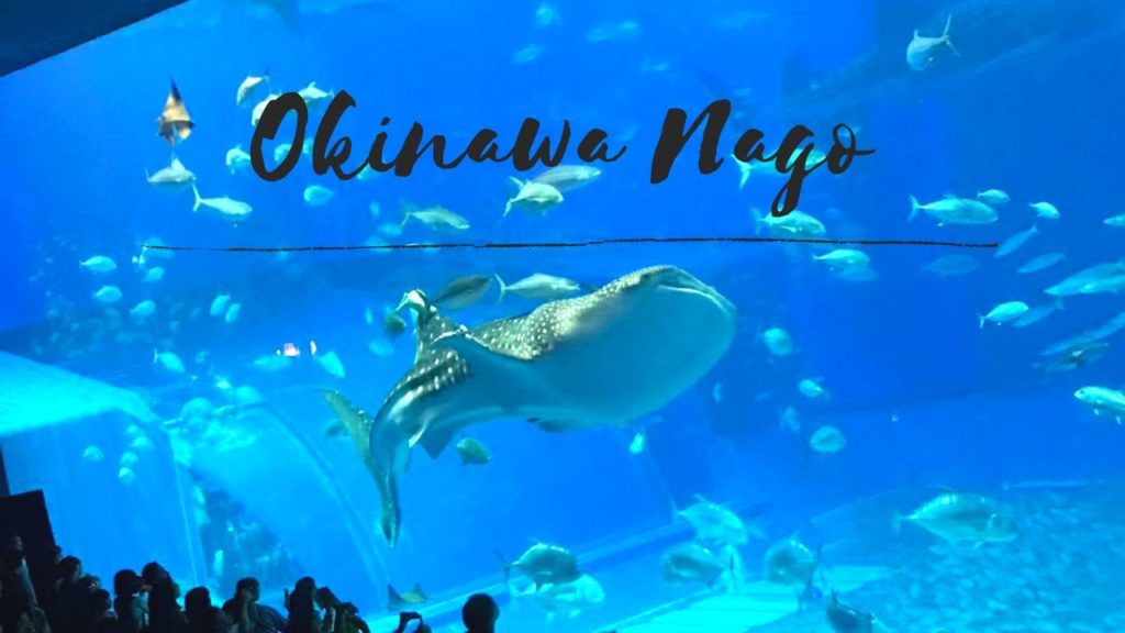 Okinawa Part 1 - Nago Cinematic Travel Music Video