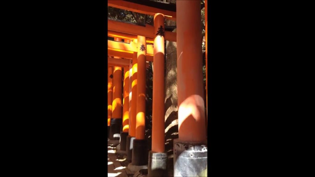 The Climb up the  Fushimi Inari Shrine | VLOG 6 | Randamunana