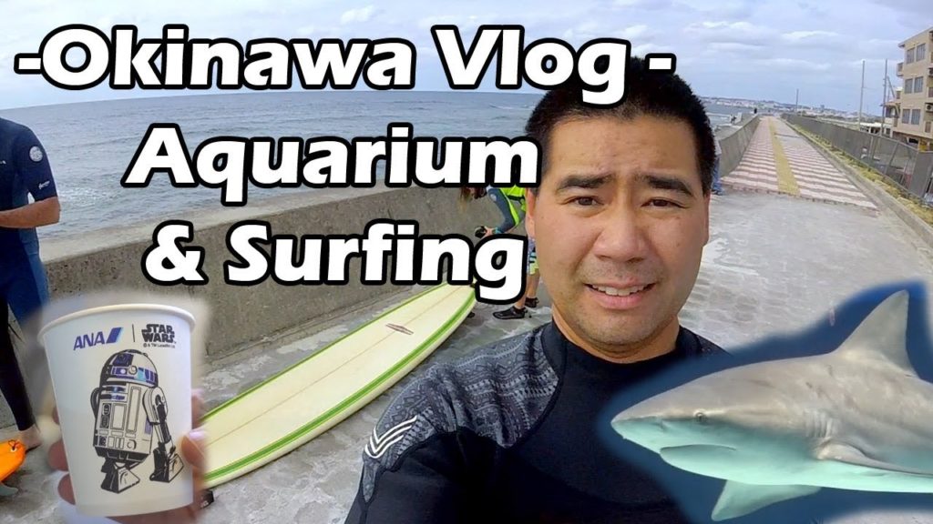 Okinawa Vlog – Okinawa Churaumi Aquarium, Surfing, Visiting Historic Sites Okinawa Vlog - Okinawa Churaumi Aquarium, Surfing, Visiting Historic Sites
