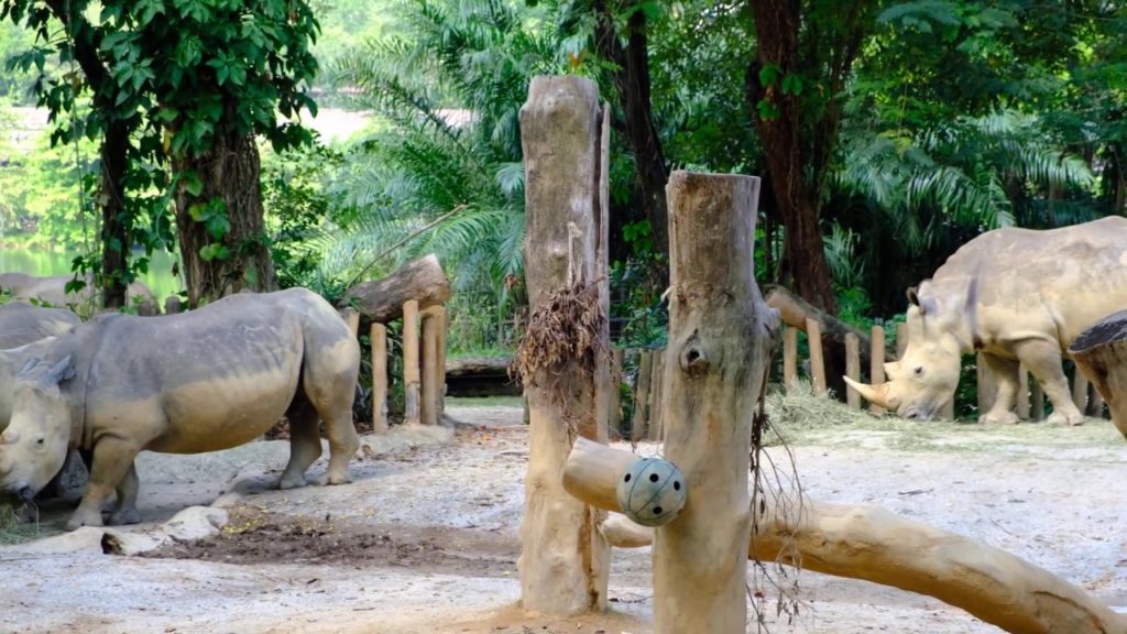 Fujifilm XT-3 4K Video