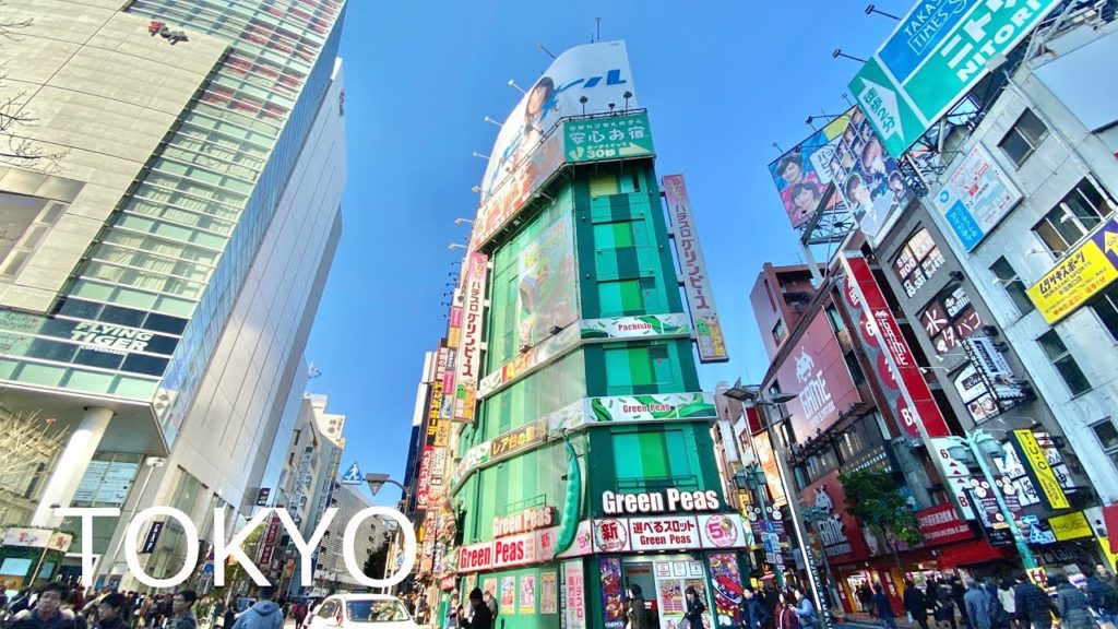 🇯🇵TOKYO Whole Day Tour – Shinjuku, Shibuya, Harajuku, Tokyo Tower & Tokyo Dome 🇯🇵TOKYO Whole Day Tour - Shinjuku, Shibuya, Harajuku, Tokyo Tower & Tokyo Dome