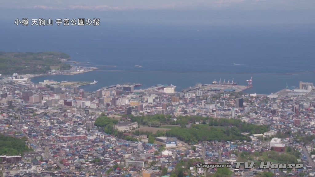 小樽 天狗山 手宮公園の桜 Cherry blossoms at Otaru and Mt.Tengu and Temiya Park 4K(UHD)