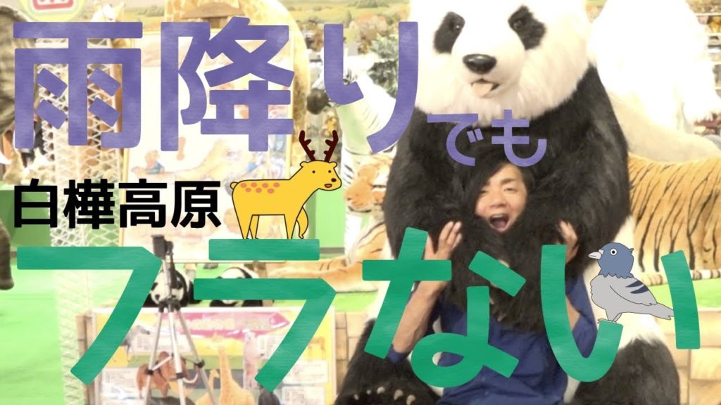 雨降りでもフラない白樺高原!