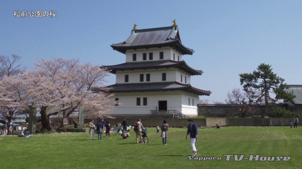 松前公園の桜 Cherry blossoms of Matsumae Park 4K(UHD)