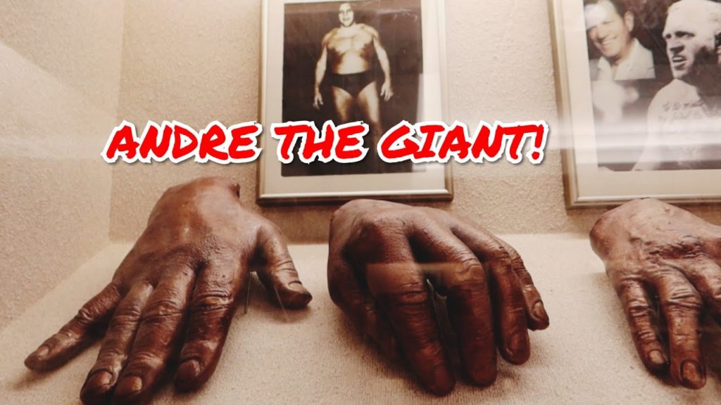 1231 100 FAMOUS CELEBRITY HANDS Of BRONZE Collection Dallas TX – Jordan The Lion Travel (1/20/20) 1231 100 FAMOUS CELEBRITY HANDS Of BRONZE Collection Dallas TX - Jordan The Lion Travel (1/20/20)