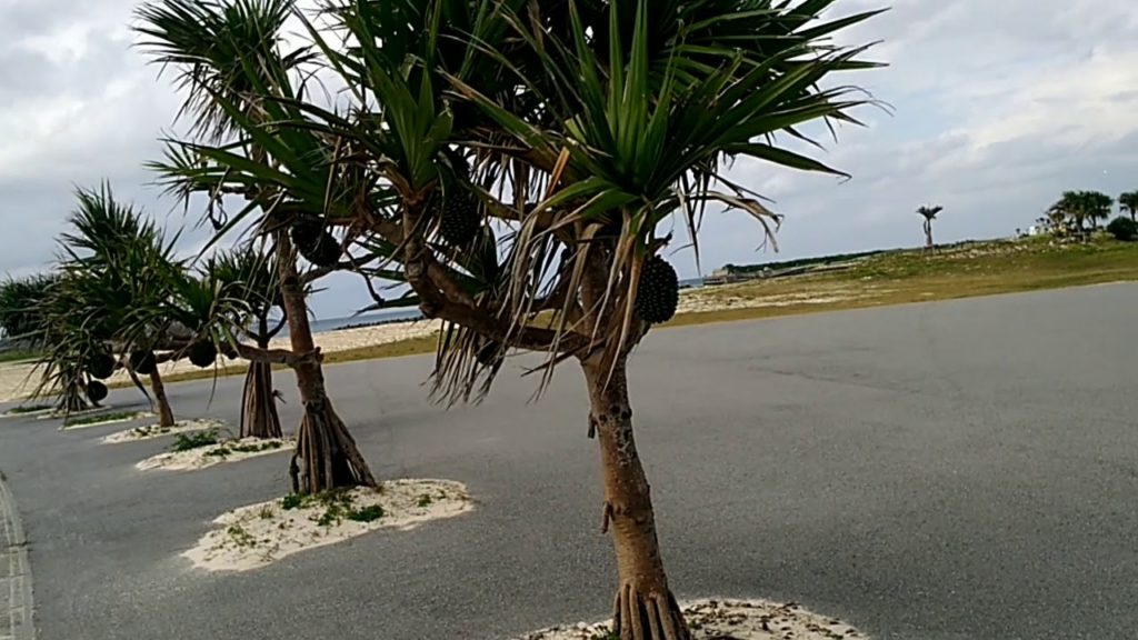 日本再発見 沖縄 宮古島 みやこサンセットビーチ Okinawa Miyako Island Miyako Sunset Beach