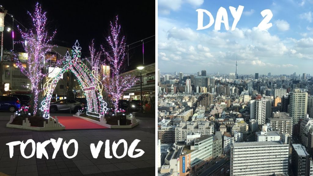 TOKYO DAY 2 | Japan Vlogs 2020 TOKYO DAY 2 | Japan Vlogs 2020
