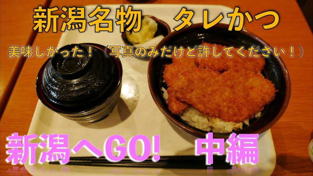 【新潟へGO!中編】(試運転中) Japan travel 【新潟へGO!中編】(試運転中) Japan travel