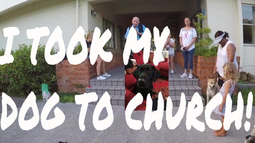 TOOK MY DOG TO CHURCH IN JAPAN