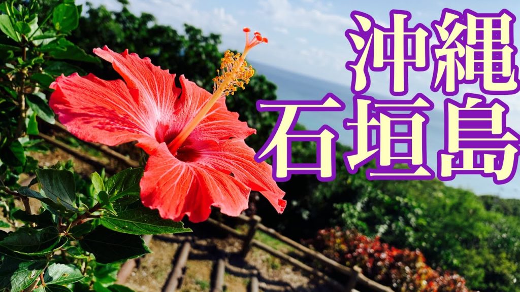 【沖縄】石垣島、ハプニング有りの沖縄最終日