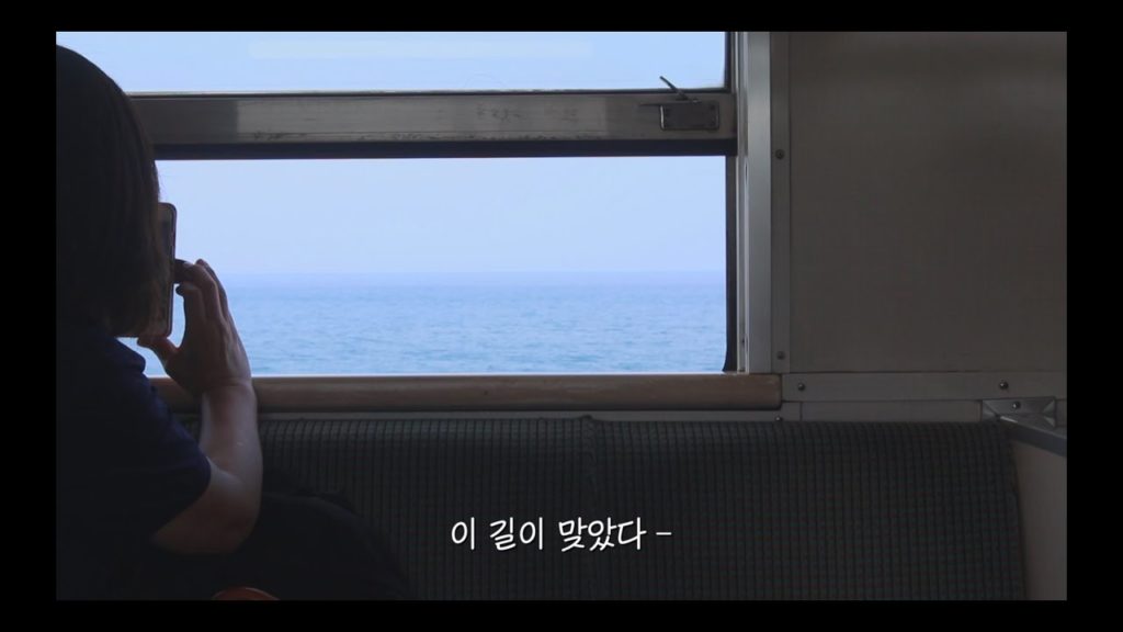 홋카이도 시골 한달살기 브이로그 / wwoof japan : hokkaido vlog