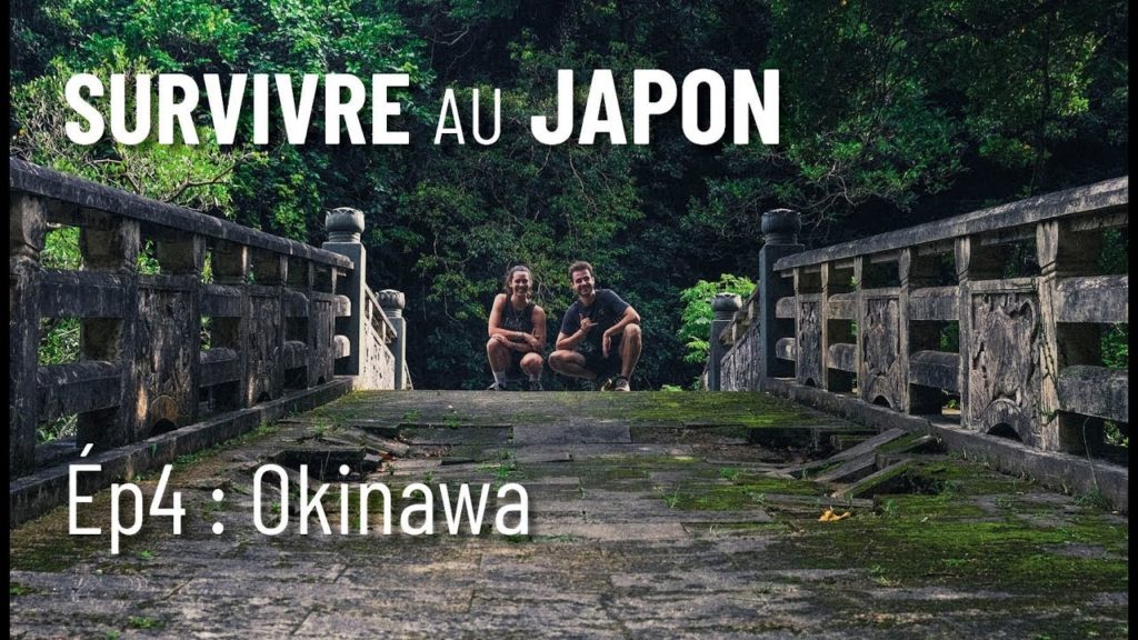 SURVIVRE au JAPON