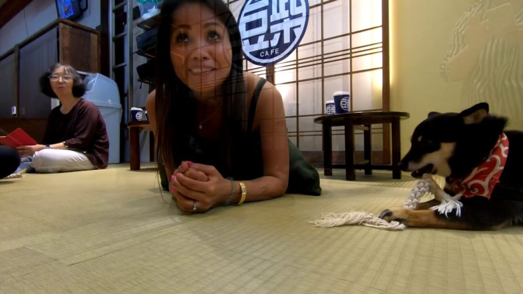 Cute Japanese Dog Cafe | Taipei-Kyoto Vlog 26