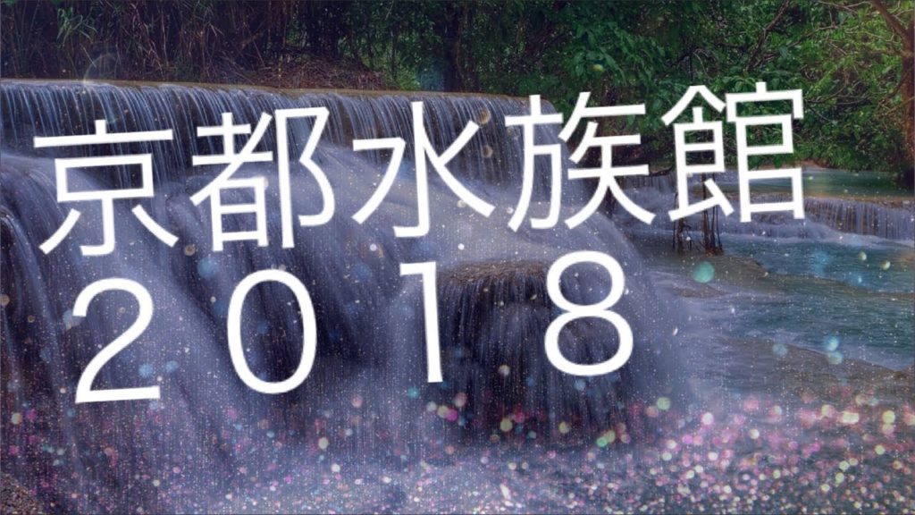 [旅動画]京都水族館に行って来ました！ 伊勢京都の旅２０１８