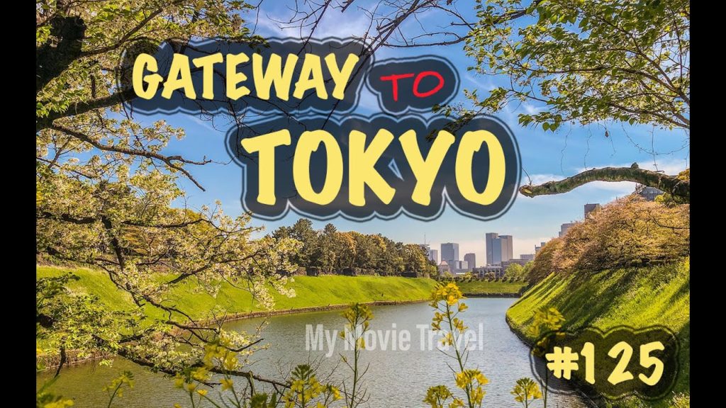 Tokyo things to know | Dream vs Reality | Travel in Japan 2020 Tokyo things to know | Dream vs Reality | Travel in Japan 2020
