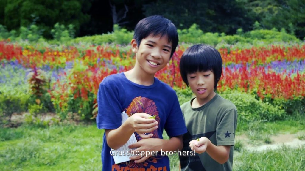 Let’s visit Nokonoshima Island! | PLAY FUKUOKA