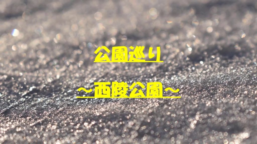 公園巡り～冬の西陵公園～ Park Tour-Winter Seiryo Park-