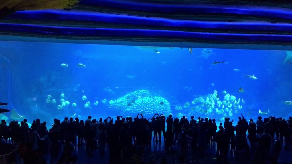 TRAVEL VLOG: Chimelong Ocean Kingdom in China | Largest aquarium in the World TRAVEL VLOG: Chimelong Ocean Kingdom in China | Largest aquarium in the World