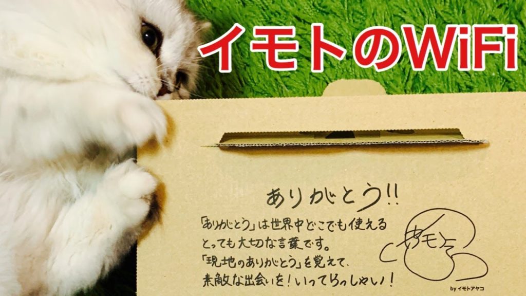 【ハワイ】フライト前日にイモトのWiFiが届きました【新婚旅行】/[Hawaii] Imoto's WiFi arrived the day before the flight [Honeymoon]