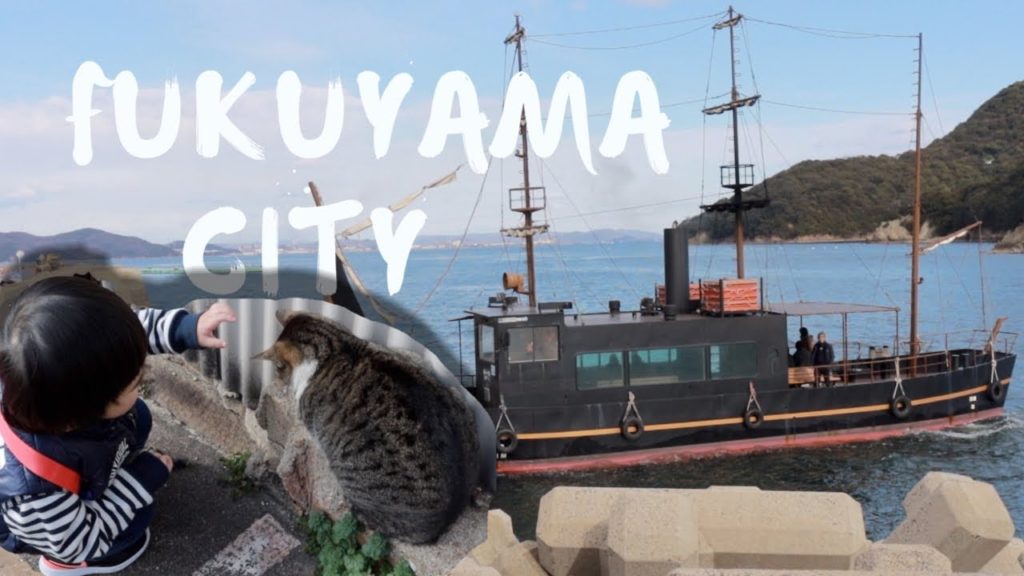 FUKUYAMA JAPAN. CATS HUNTING