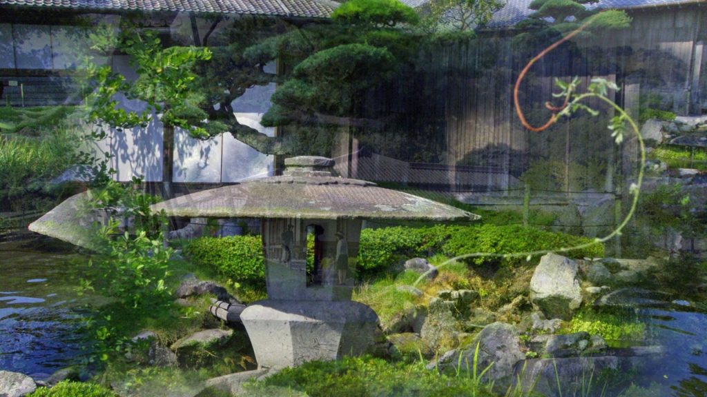 Sengan en Kagoshima 仙巌園 Isoteien Japangarten Chrysanthemen