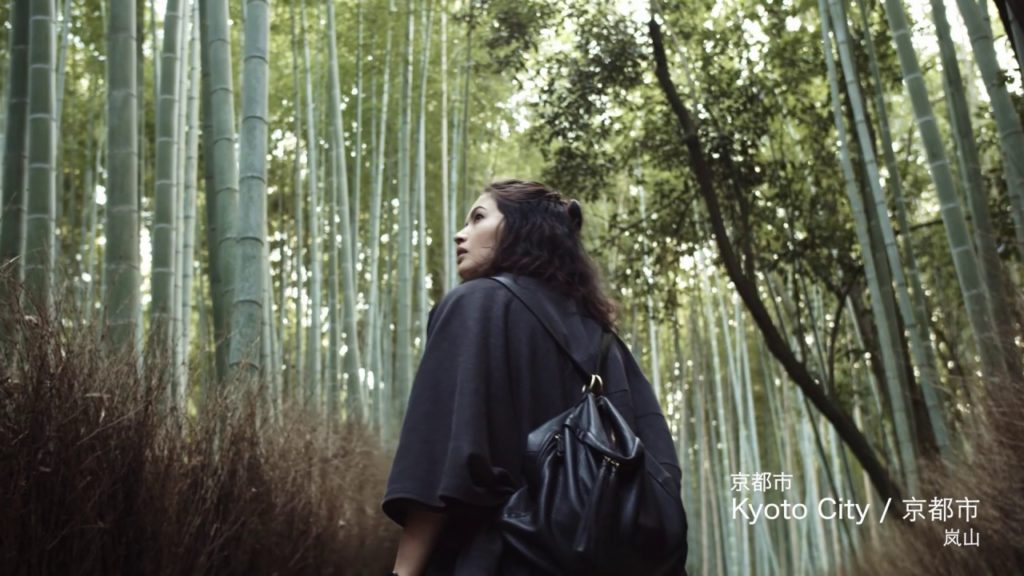 【4K】Stunning Views - Nature, KANSAI, Japan