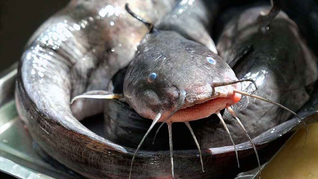 Thai Food - CATFISH MEATBALLS Aoywaan Bangkok Seafood Thailand