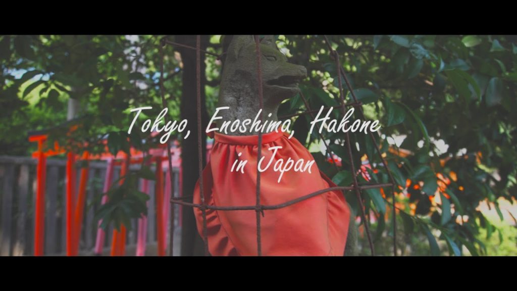 도쿄, 에노시마, 하코네  시네마틱 4K 여행 영상(Tokyo, Enoshima, Hakone Cinematic Travel Video) ｜SONY A6500, SELP1650