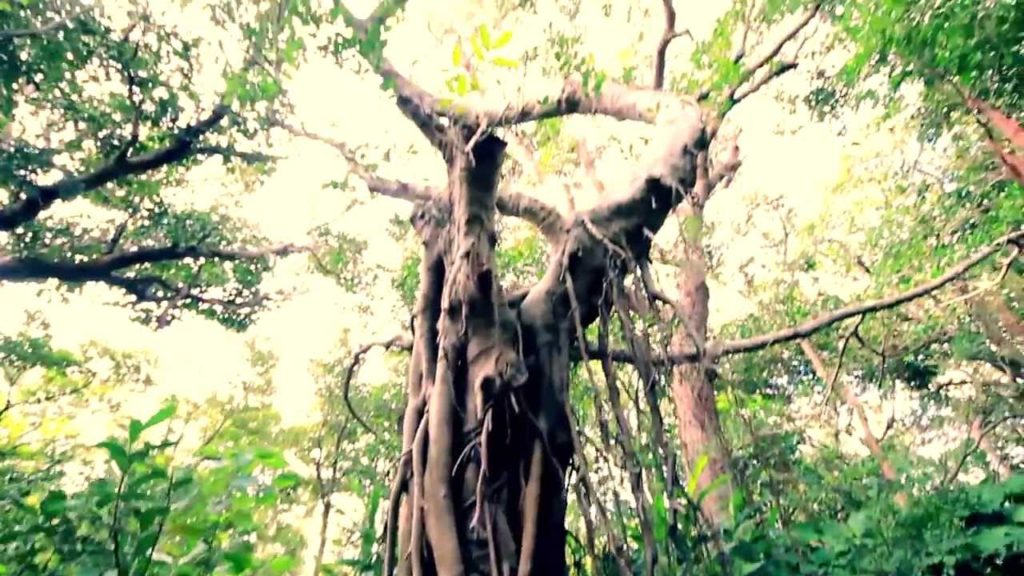 Trip to Okinawa, Japan