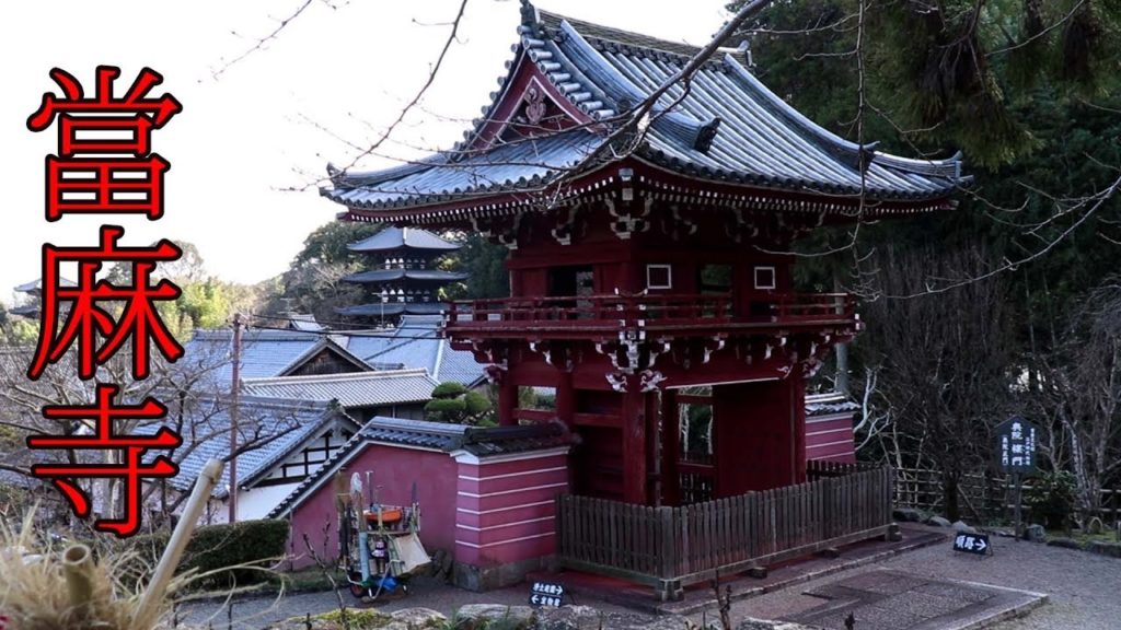 冬牡丹の「禅林寺」當麻寺（当麻寺）Travel Japan うろうろ奈良