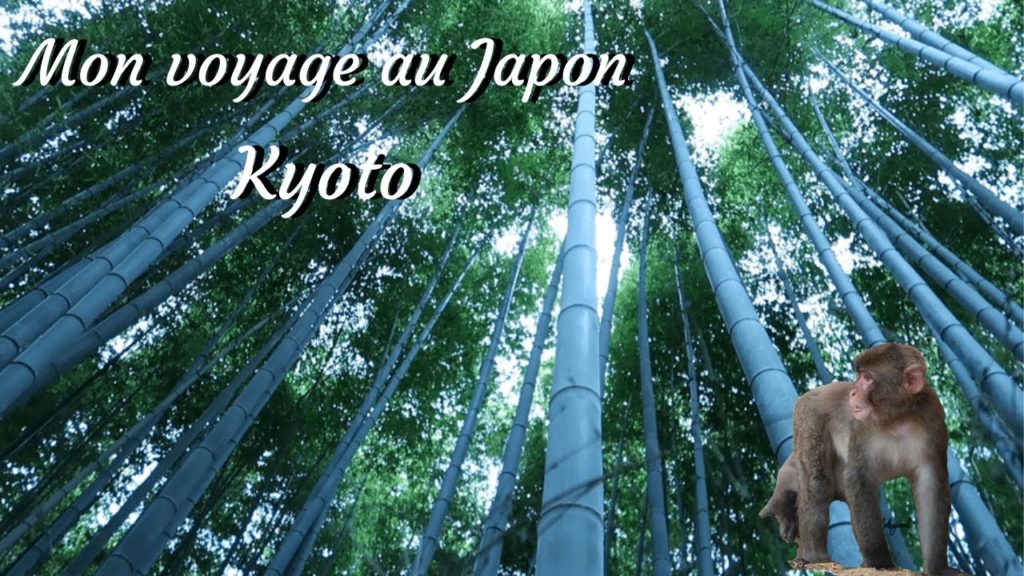 Mon voyage à Kyoto au Japon
