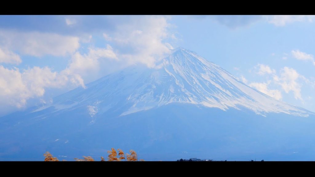 Mt Fuji and Aokigahara Forest Day Trip. Japan