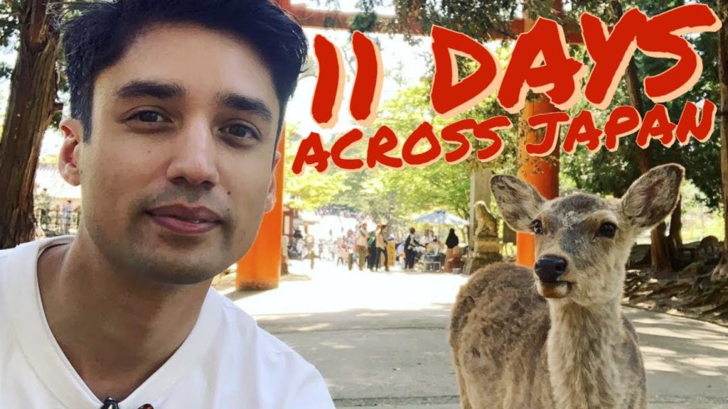 11 days across JAPAN | Osaka, Kyoto, Niigata, Toyama, Tateyama, Nagano & Mt Fuji