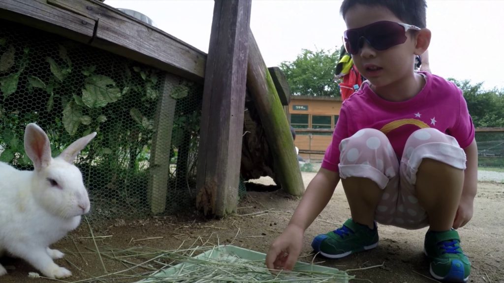 2016岡山之旅 Okayama Holiday Trip