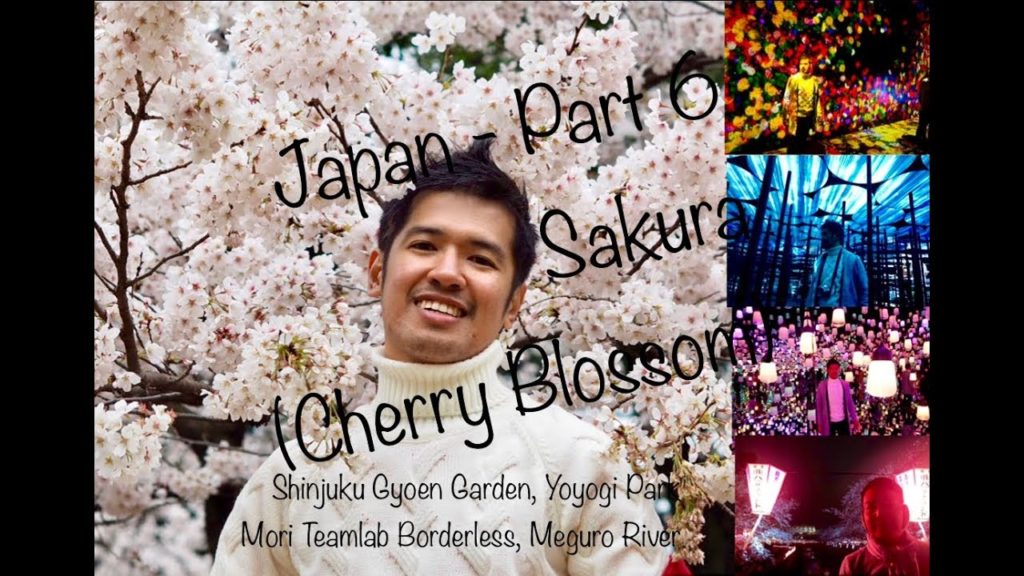 Japan Part 6 - Day 8 - Sakura at Tokyo, Teamlab Borderless