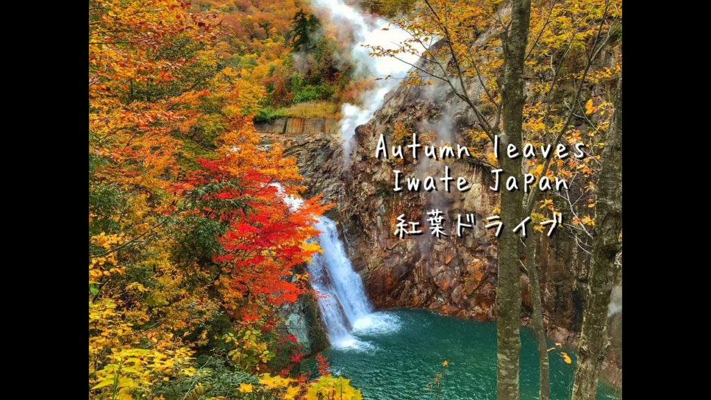 Autumn leaves  紅葉狩りの旅 Iwate japan 2015