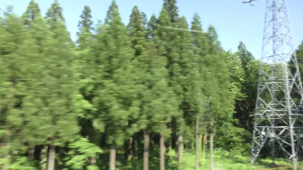 【4K】 WILLER EXPRESS(ウィラーエクスプレス) 高速バス車窓動画 新潟発東京行 石打～湯沢