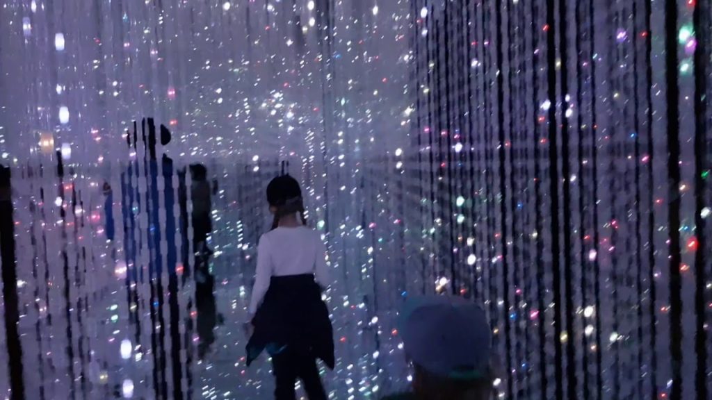 Dale Discovers Japan Trip 4  8  Odaiba Teamlab Borderless