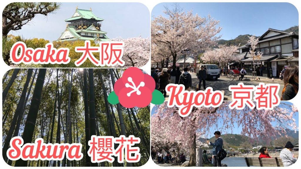 Cherry Blossoms in Kyoto &amp; Osaka 在京都和大阪賞櫻花