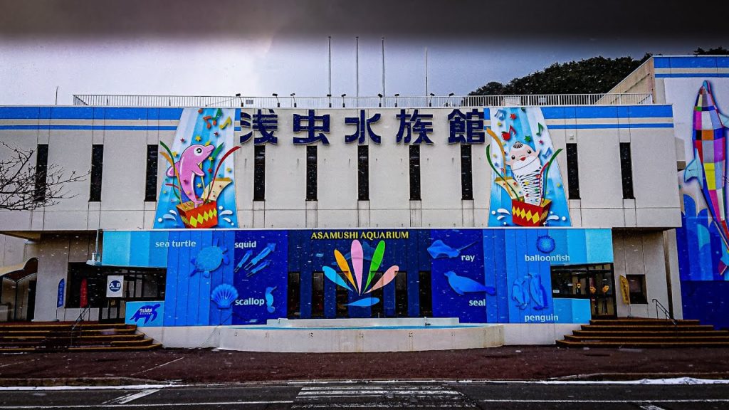 What's so fishy about Aomori | Aquarium Asamushi 浅虫水族館 Lofi Tour What's so fishy about Aomori | Aquarium Asamushi 浅虫水族館 Lofi Tour
