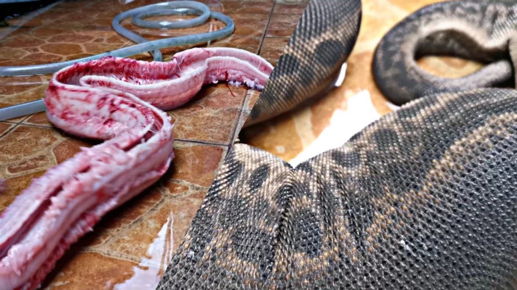 EXTREME FOOD KALIMANTAN 3# - THE GIANT ZOMBIE SNAKE RIVER RENDANG SERUNDENG / INDONESIAN FOOD