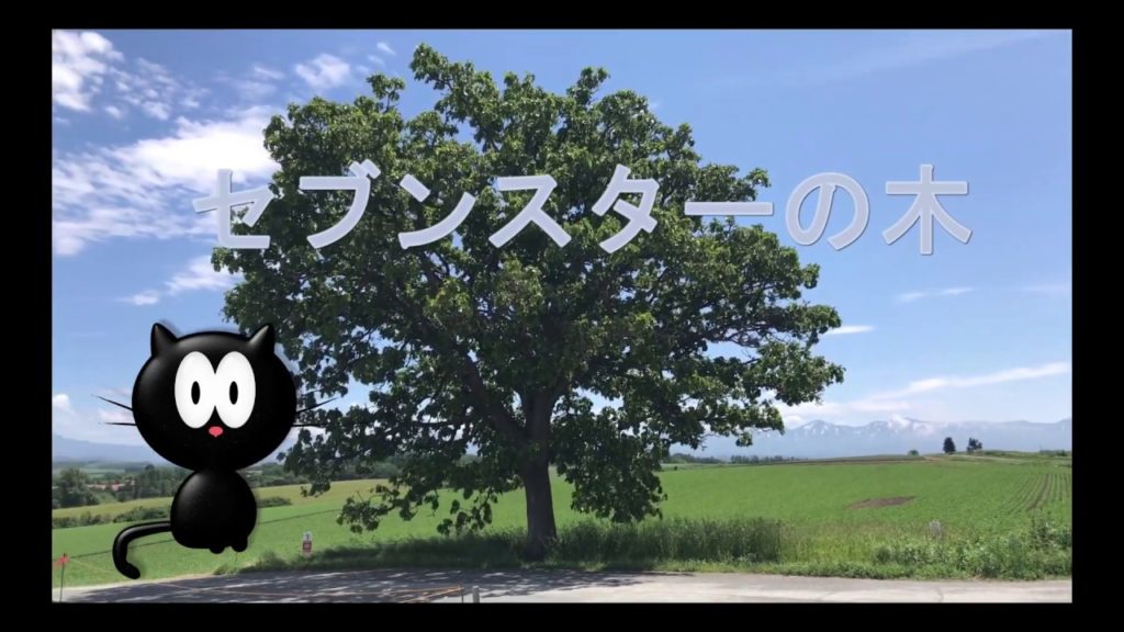 美瑛町　【パッチワークの路】　発撮り 風景が素敵すぎ。