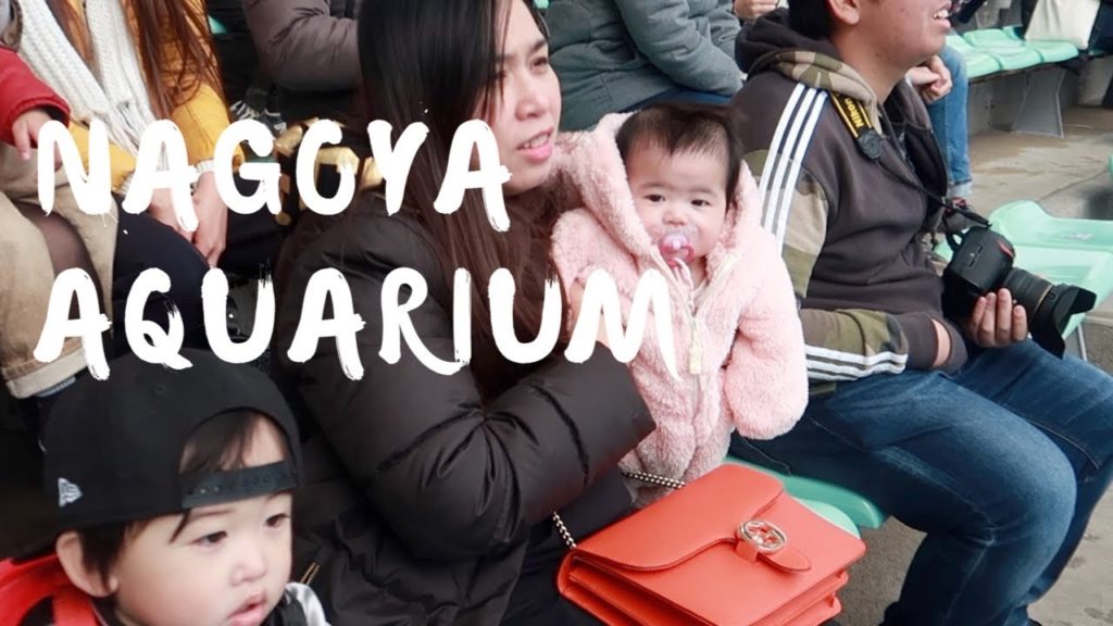 NAGOYA JAPAN. DOLPHIN SHOW IN NAGOYA PORT AQUARIUM – FILIPINO JAPANESE FAMILY NAGOYA JAPAN. DOLPHIN SHOW IN NAGOYA PORT AQUARIUM - FILIPINO JAPANESE FAMILY