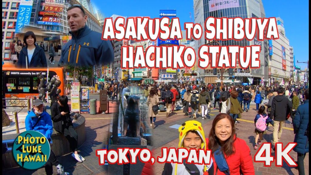 Asakusa to Shibuya Hachiko Statue Tokyo Japan