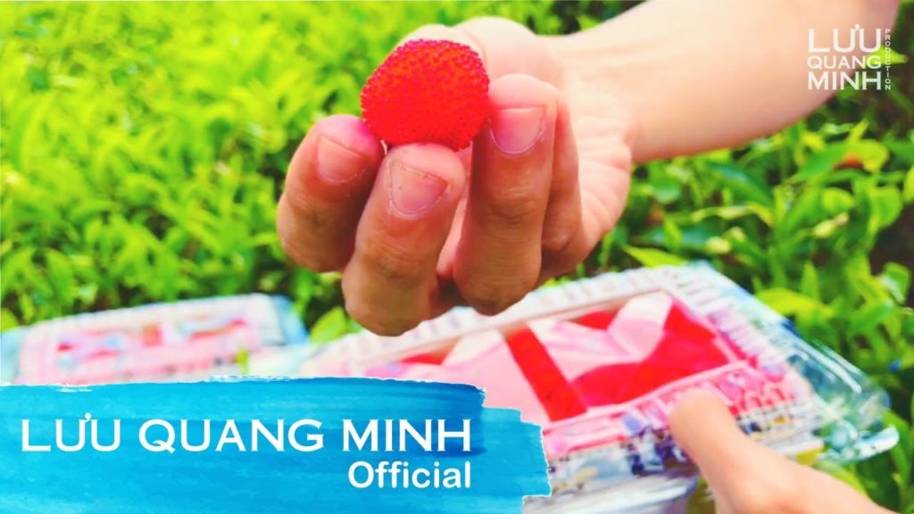 WORLD FOOD #3 | SWEET STRAWBERRY IN BANDUNG TEA PLANTATION HILL