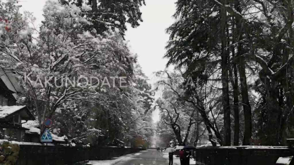 Kakunodate Samurai District