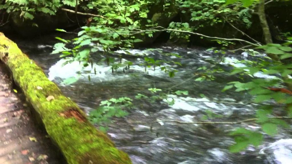 Oirase Stream in Aomori Japan